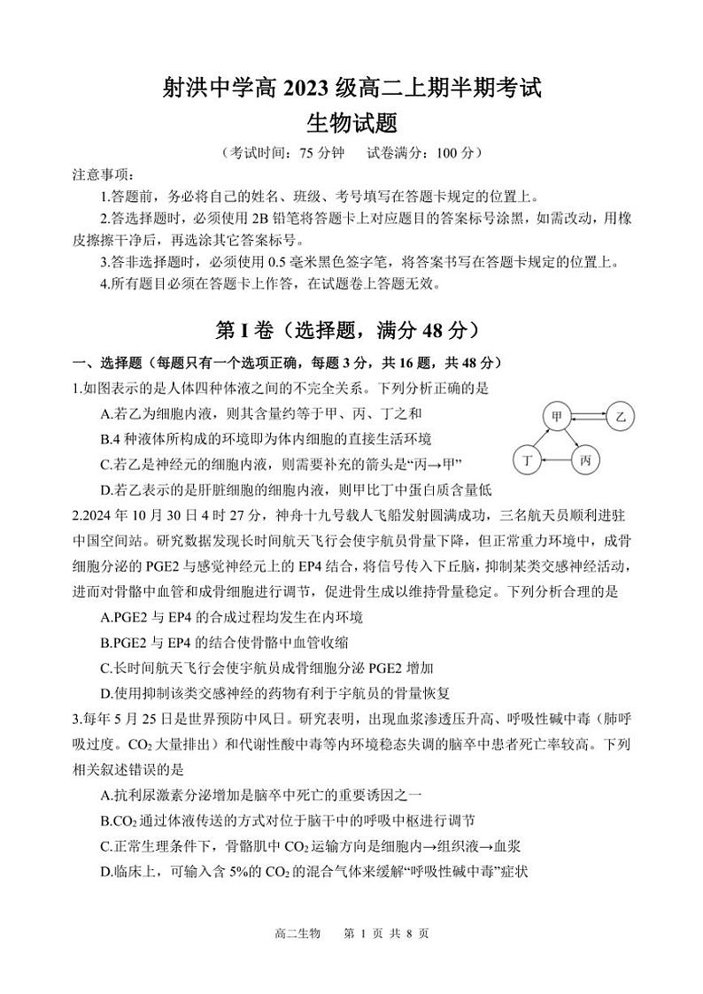 四川省遂宁市射洪中学2024～2025学年高二(上)期中生物试卷(含答案)第1页