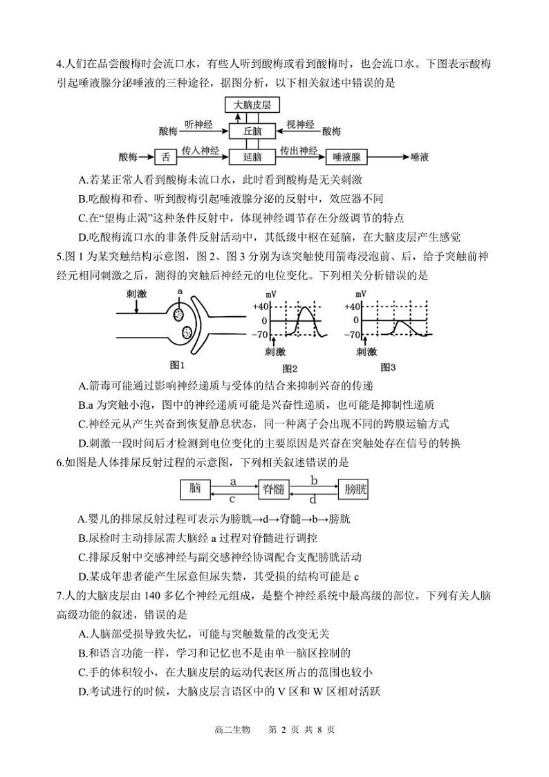 四川省遂宁市射洪中学2024～2025学年高二(上)期中生物试卷(含答案)第2页