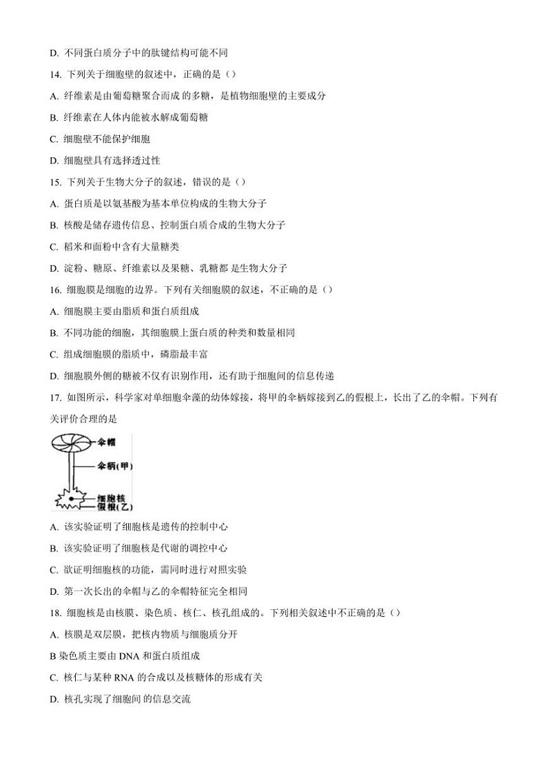 湖北省部分普通高中联盟2024～2025学年高一(上)期中联考生物试卷(含答案)第3页