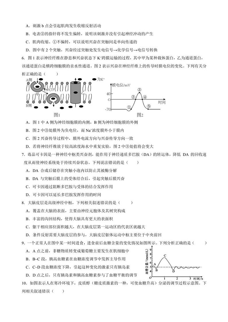 四川省眉山市东坡区2024～2025学年高二(上)期中生物试卷(含答案)第2页