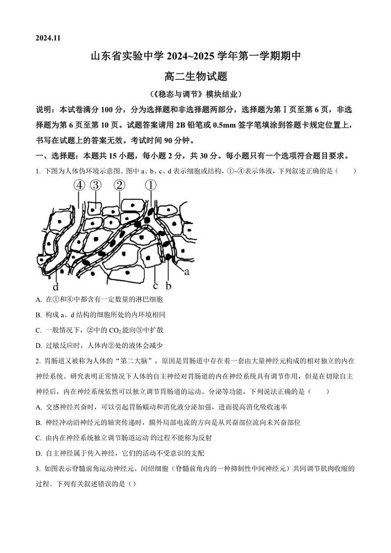 山东省实验中学2024～2025学年高二(上)期中生物试卷(含答案)第1页