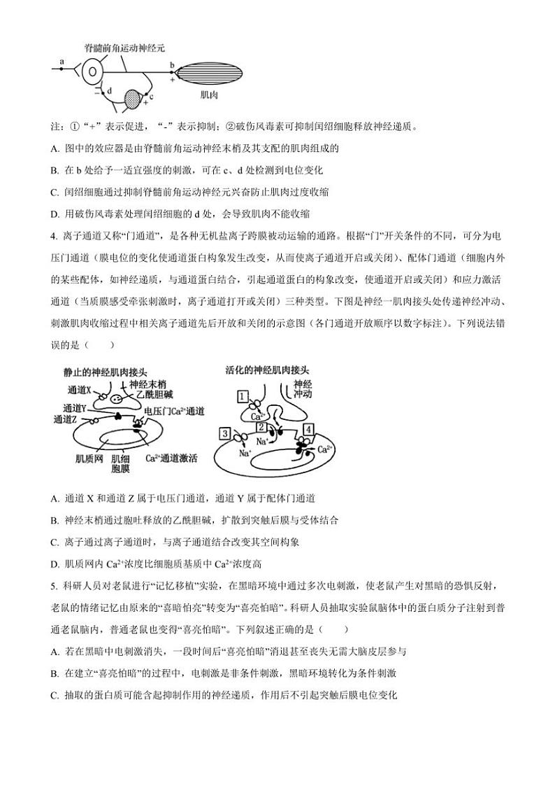 山东省实验中学2024～2025学年高二(上)期中生物试卷(含答案)第2页