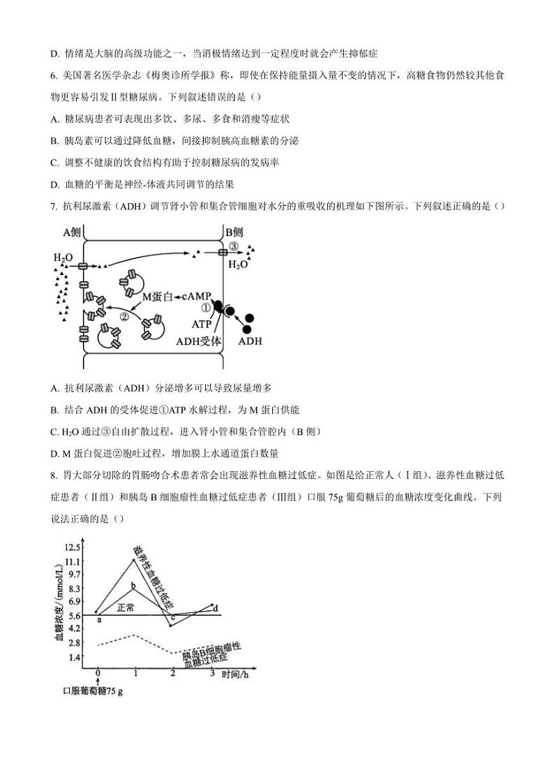 山东省实验中学2024～2025学年高二(上)期中生物试卷(含答案)第3页