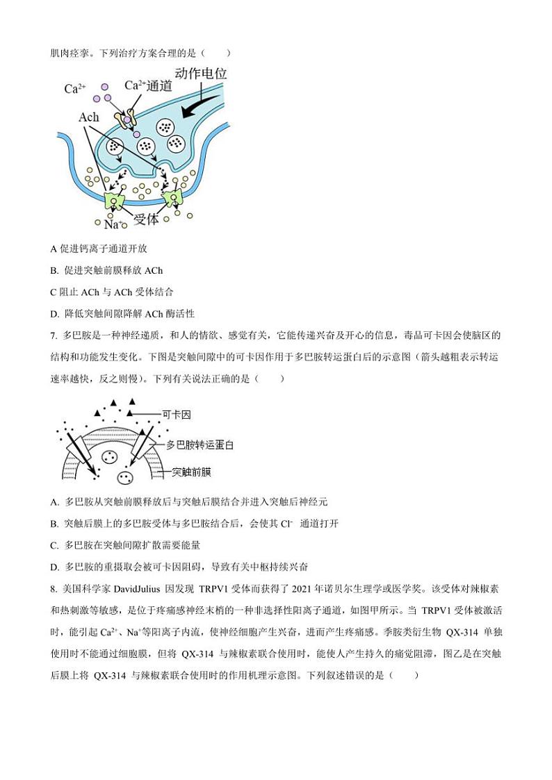2024～2025学年河南省安阳市林州市第一中学高二(上)11月月试卷生物(含答案)第3页