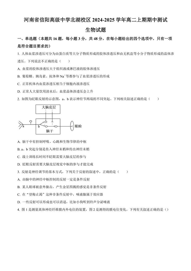 河南省信阳高级中学2024～2025学年高二(上)期中生物试卷(含答案)第1页