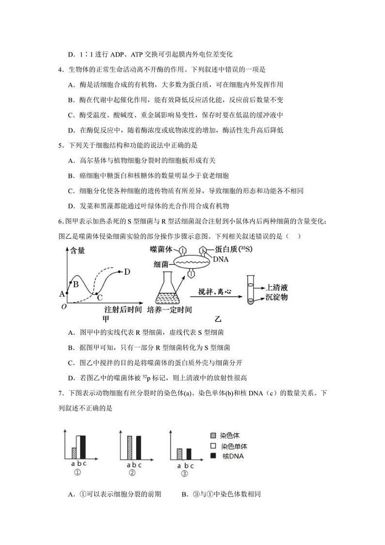 河北省秦皇岛市青龙满族自治县青龙部分学校2024～2025学年高三(上)期中生物试卷(含答案)第2页
