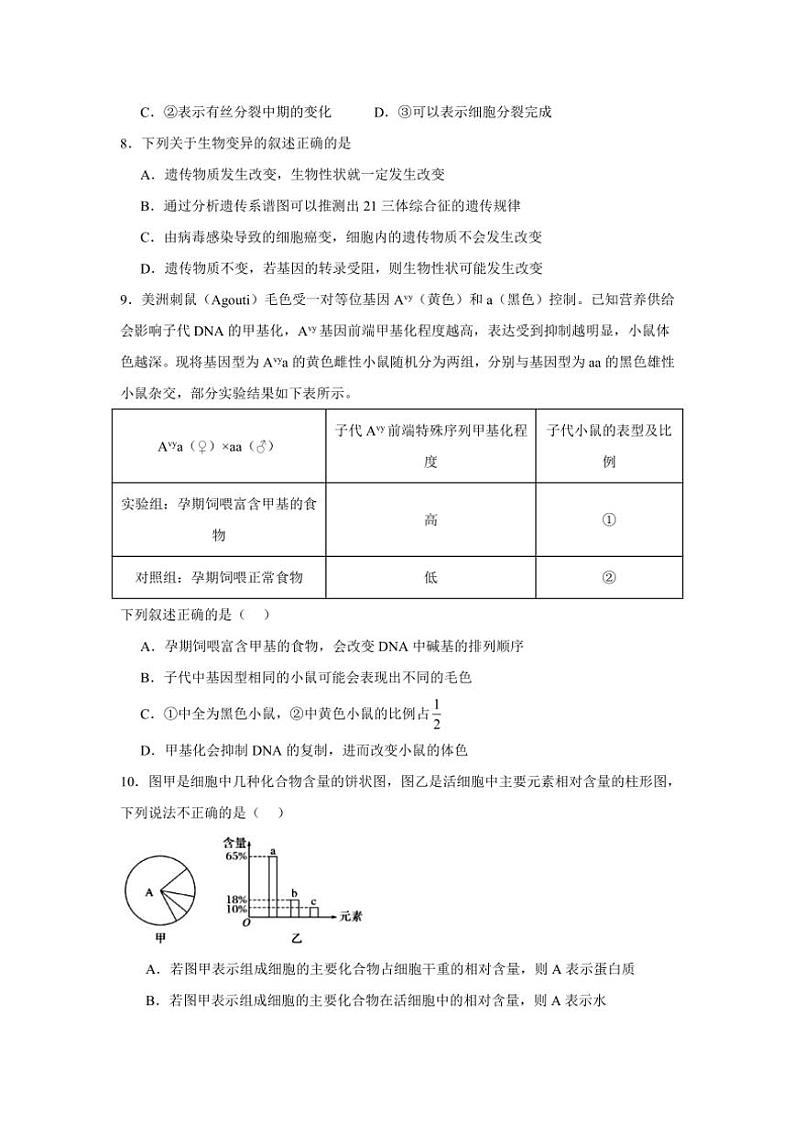 河北省秦皇岛市青龙满族自治县青龙部分学校2024～2025学年高三(上)期中生物试卷(含答案)第3页