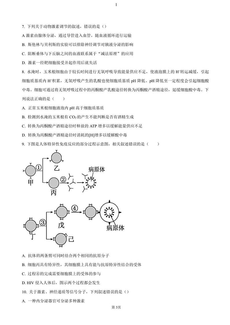 湖南省岳阳市临湘市2024～2025学年高二(上)期中生物试卷(含答案)03