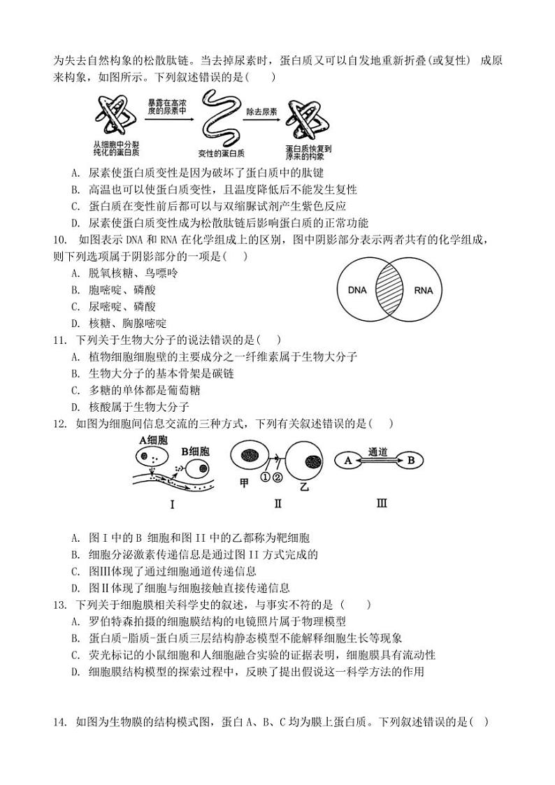 广东省实验中学2024～2025学年高一(上)期中生物试卷(含答案)第3页