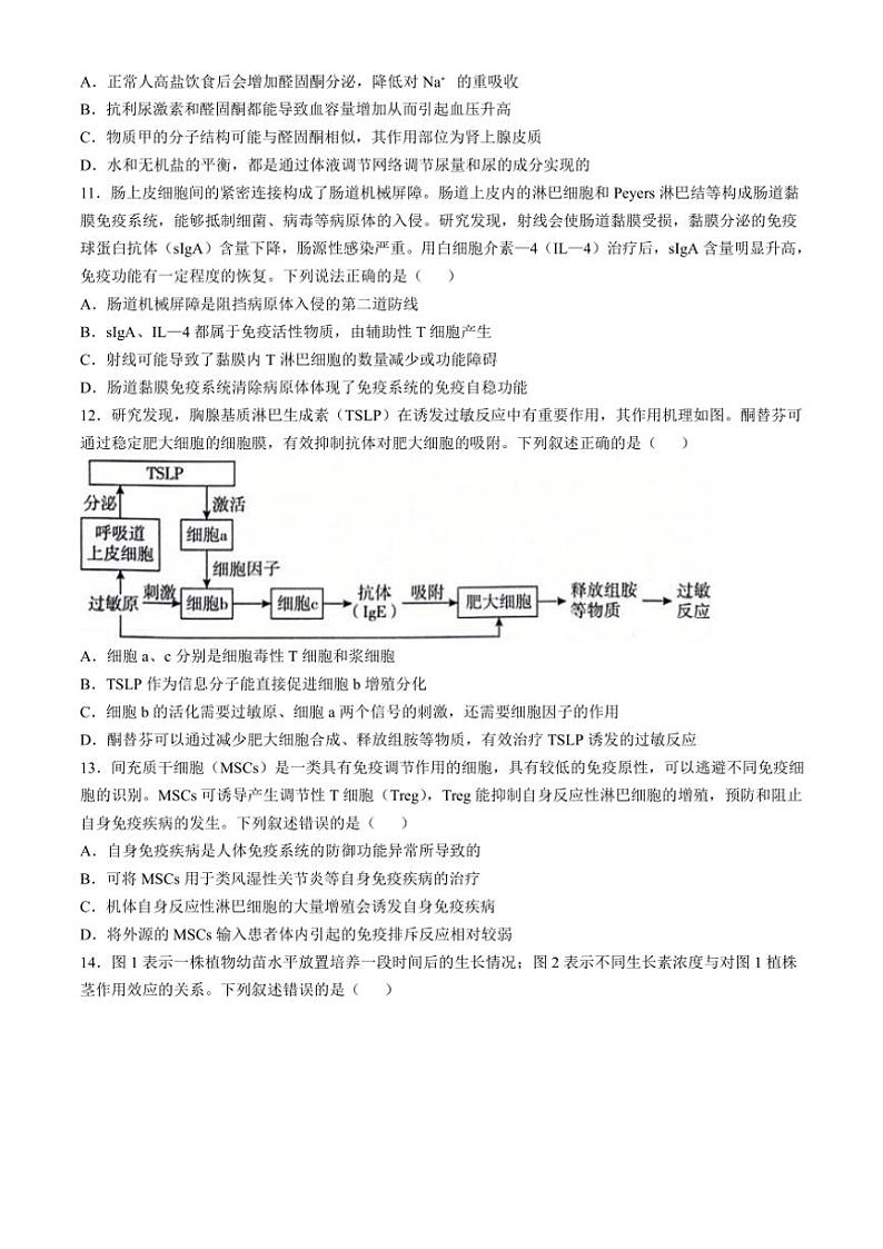 山东省临沂市2024～2025学年高二(上)期中生物试卷(含答案)第3页