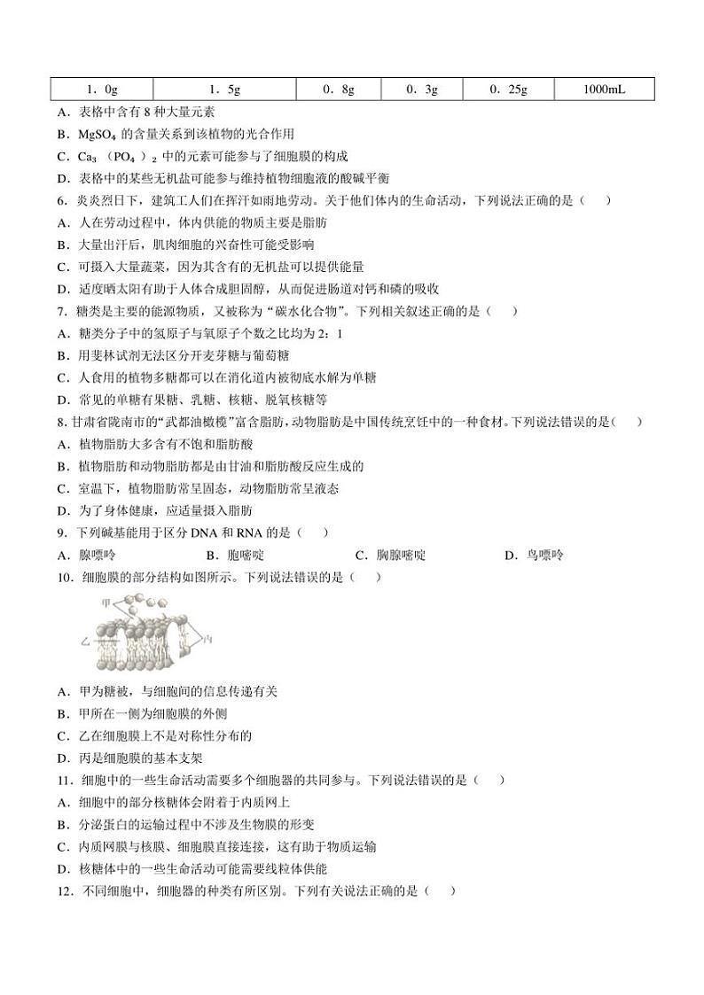 广西名校联盟2024～2025学年高一(上)期中阶段性考试生物试卷(含答案)第2页