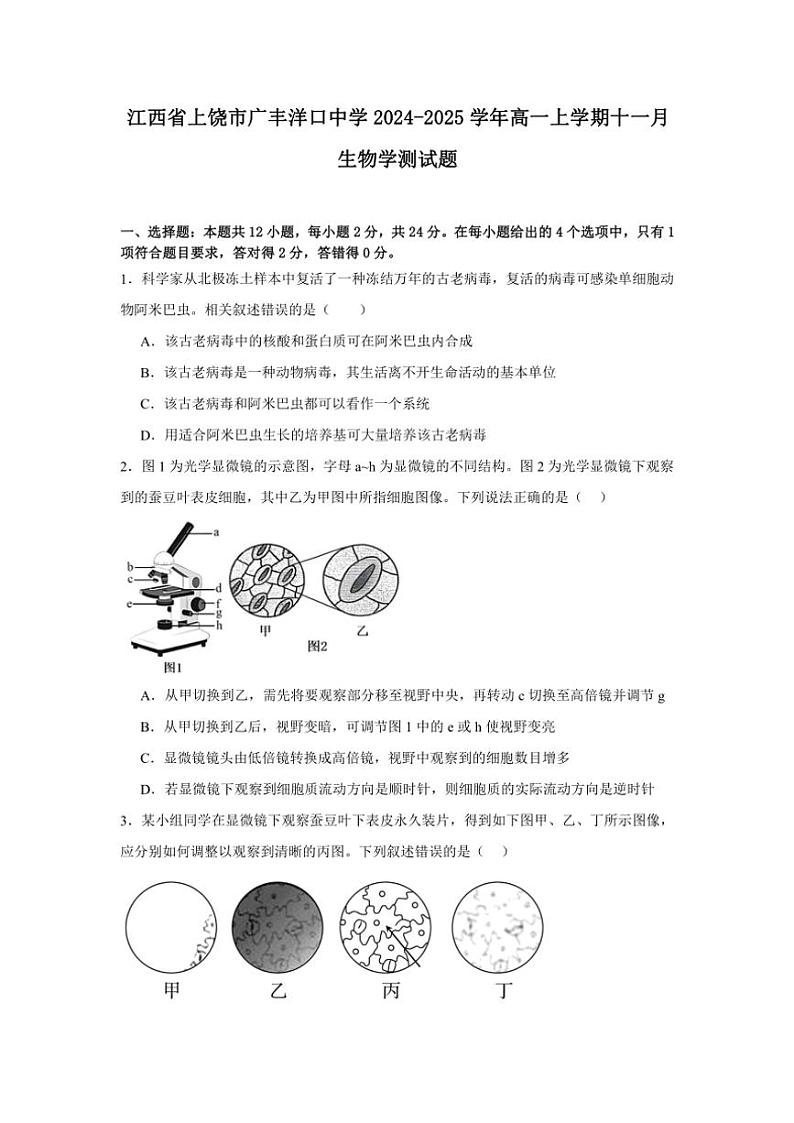 江西省上饶市广丰洋口中学2024～2025学年高一(上)十一月生物测试卷(含答案)第1页