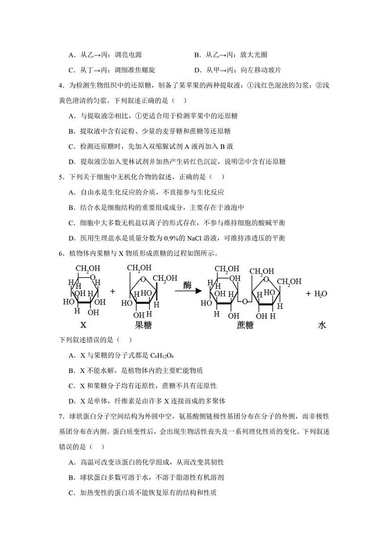 江西省上饶市广丰洋口中学2024～2025学年高一(上)十一月生物测试卷(含答案)第2页