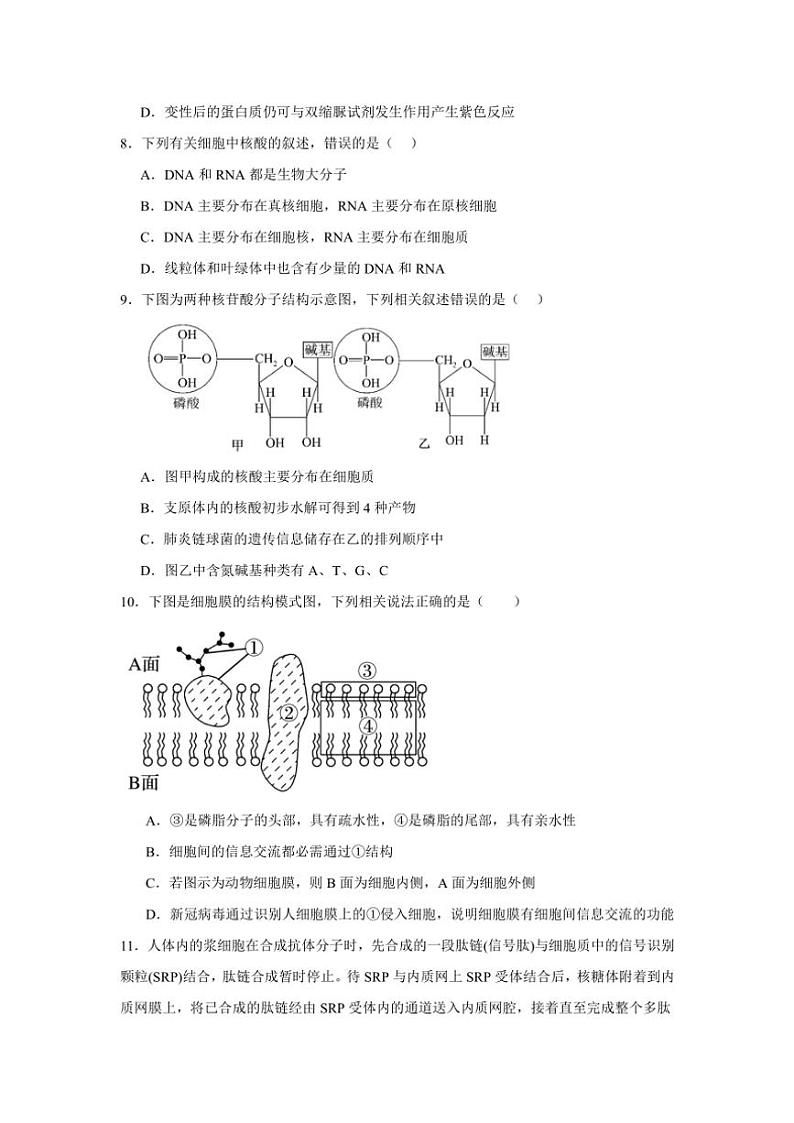 江西省上饶市广丰洋口中学2024～2025学年高一(上)十一月生物测试卷(含答案)第3页