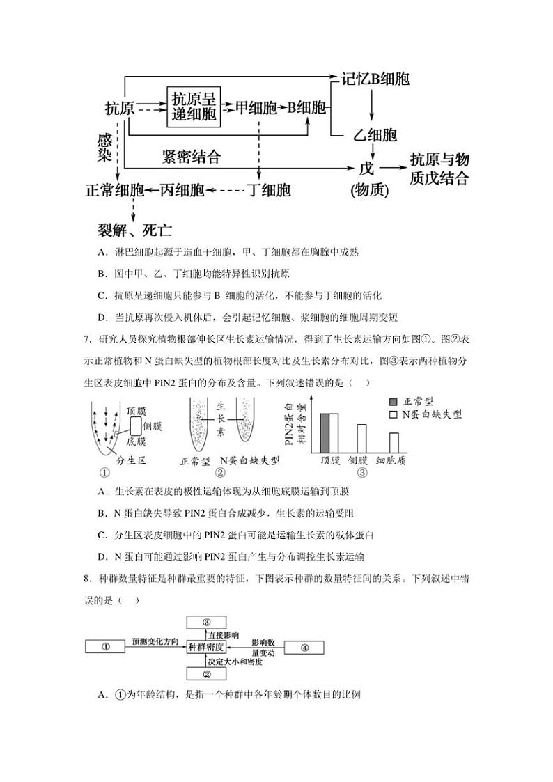江西省上饶市广丰洋口中学2024～2025学年高三(上)十一月生物测试卷(含答案)第3页