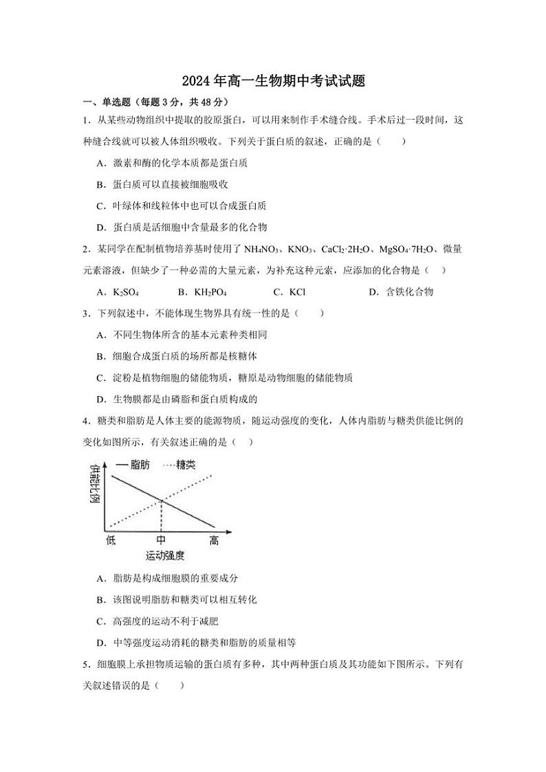 湖南省岳阳市岳阳县第一中学2024～2025学年高一(上)期中生物试卷(含答案)第1页