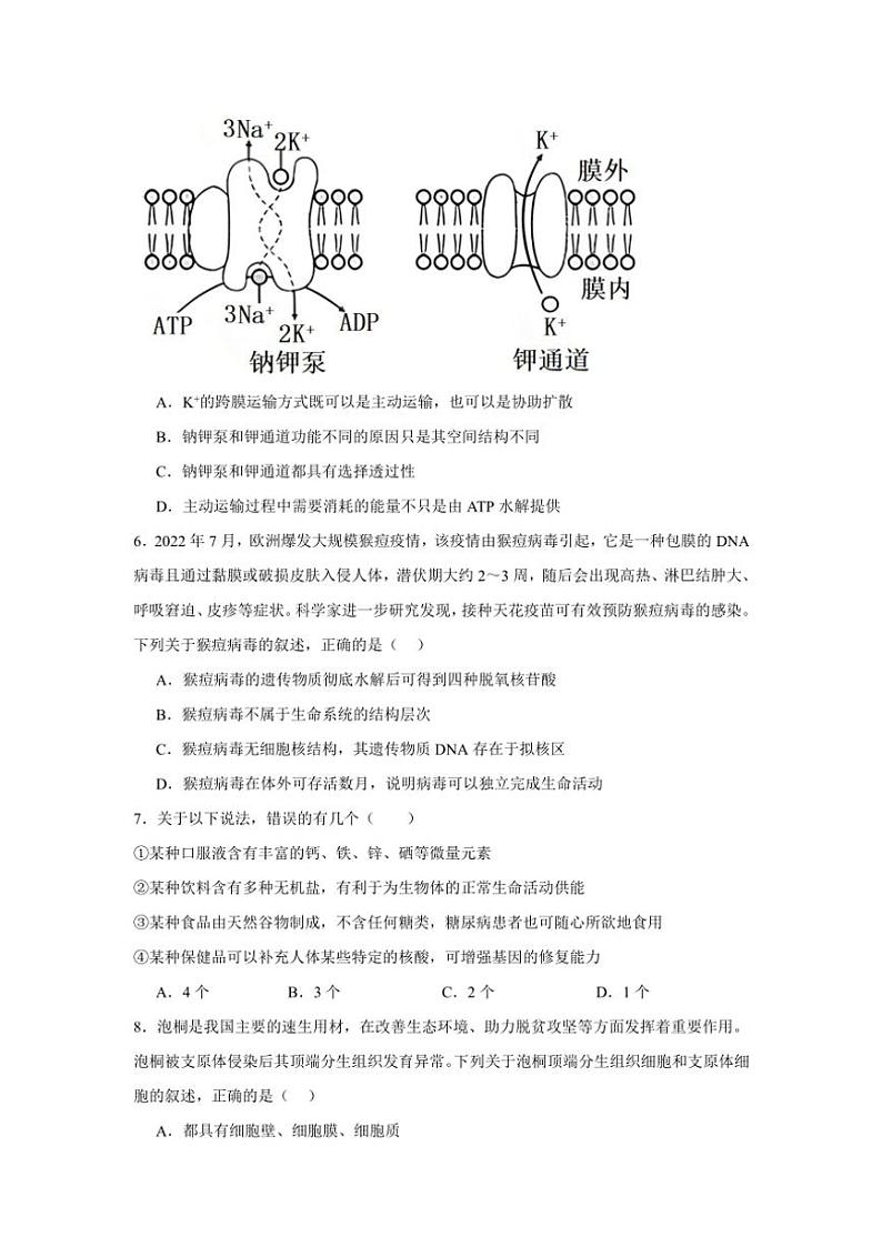 湖南省岳阳市岳阳县第一中学2024～2025学年高一(上)期中生物试卷(含答案)第2页