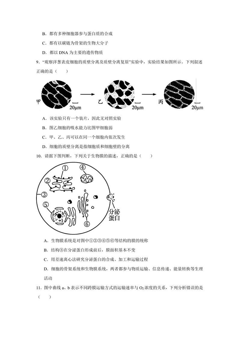 湖南省岳阳市岳阳县第一中学2024～2025学年高一(上)期中生物试卷(含答案)第3页