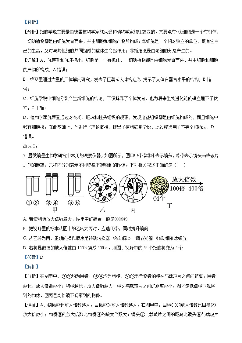 四川省成都市七中万达集团学校联考2024-2025学年高一上学期11月期中生物试题（解析版）-A4第2页