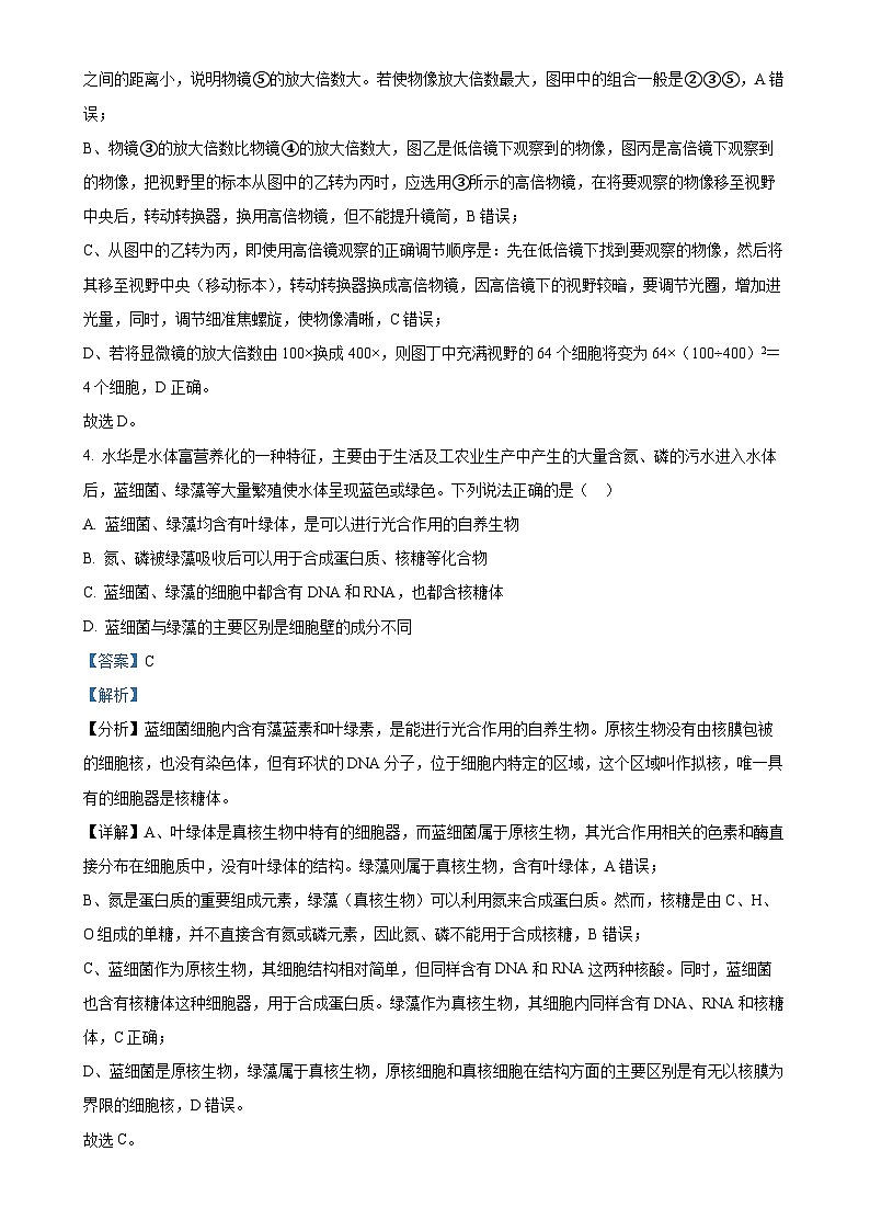 四川省成都市七中万达集团学校联考2024-2025学年高一上学期11月期中生物试题（解析版）-A4第3页