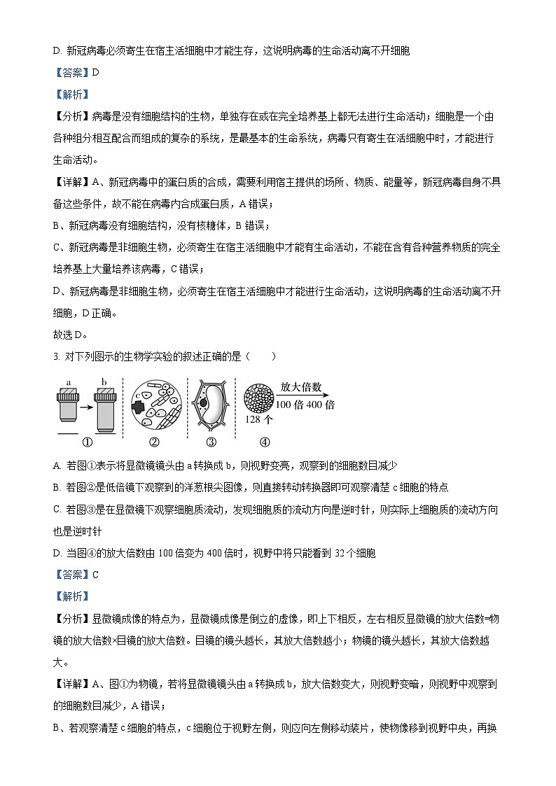 云南省开远市第一中学校2024-2025学年高一上学期期中检测生物试题（解析版）-A4第2页