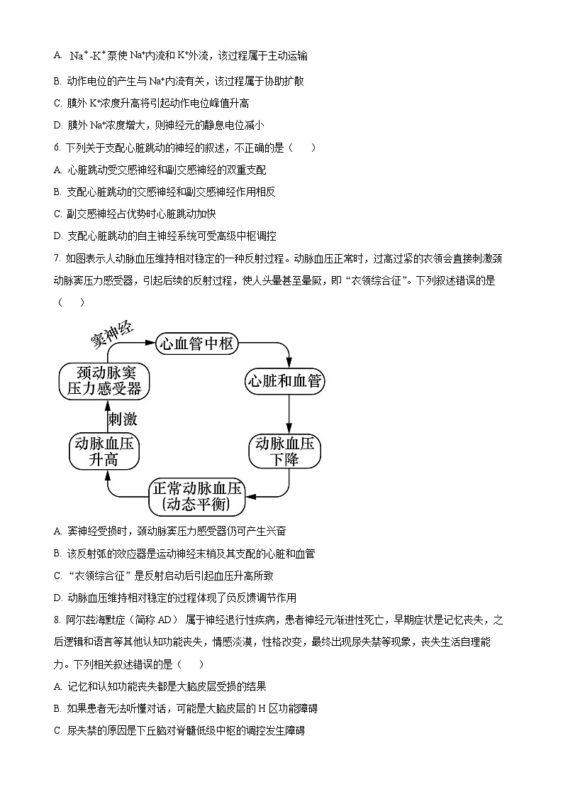 北京市第四中学2024-2025学年高二上学期期中考试生物试题（原卷版）-A4第2页