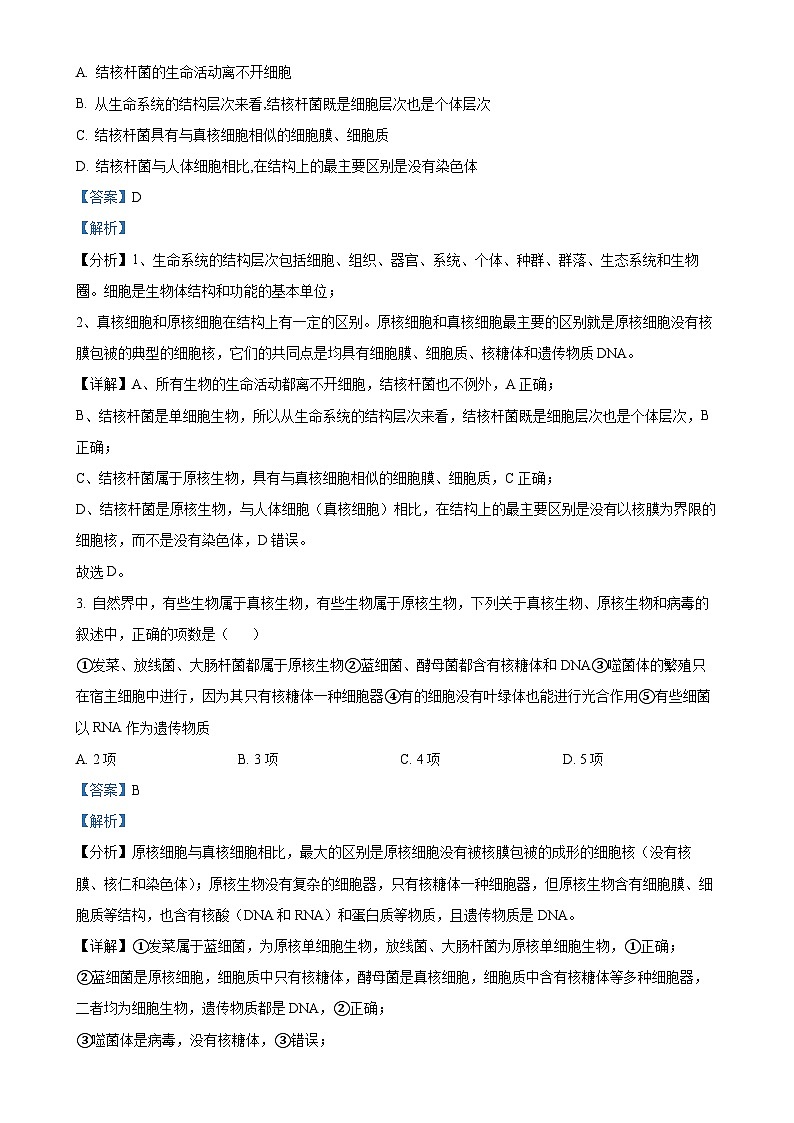 广东省梅州市兴宁市第一中学2024-2025学年高一上学期11月期中生物试题（解析版）-A4第2页