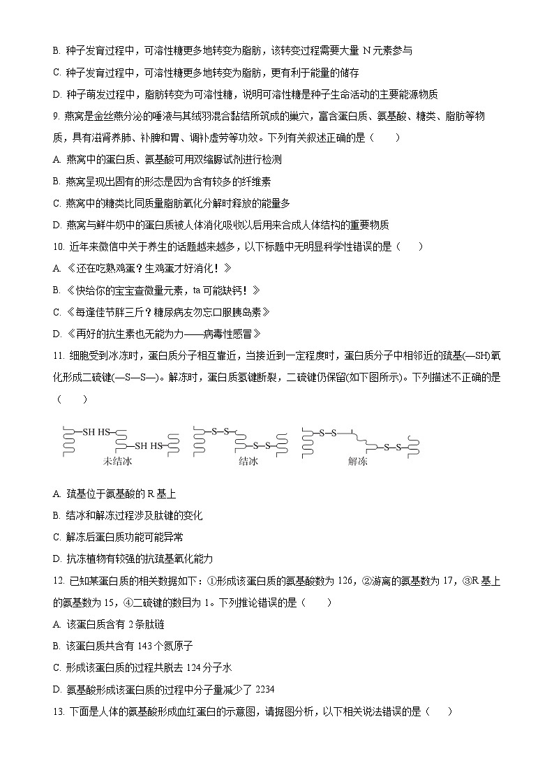 广东省梅州市兴宁市第一中学2024-2025学年高一上学期11月期中生物试题（原卷版）-A4第3页