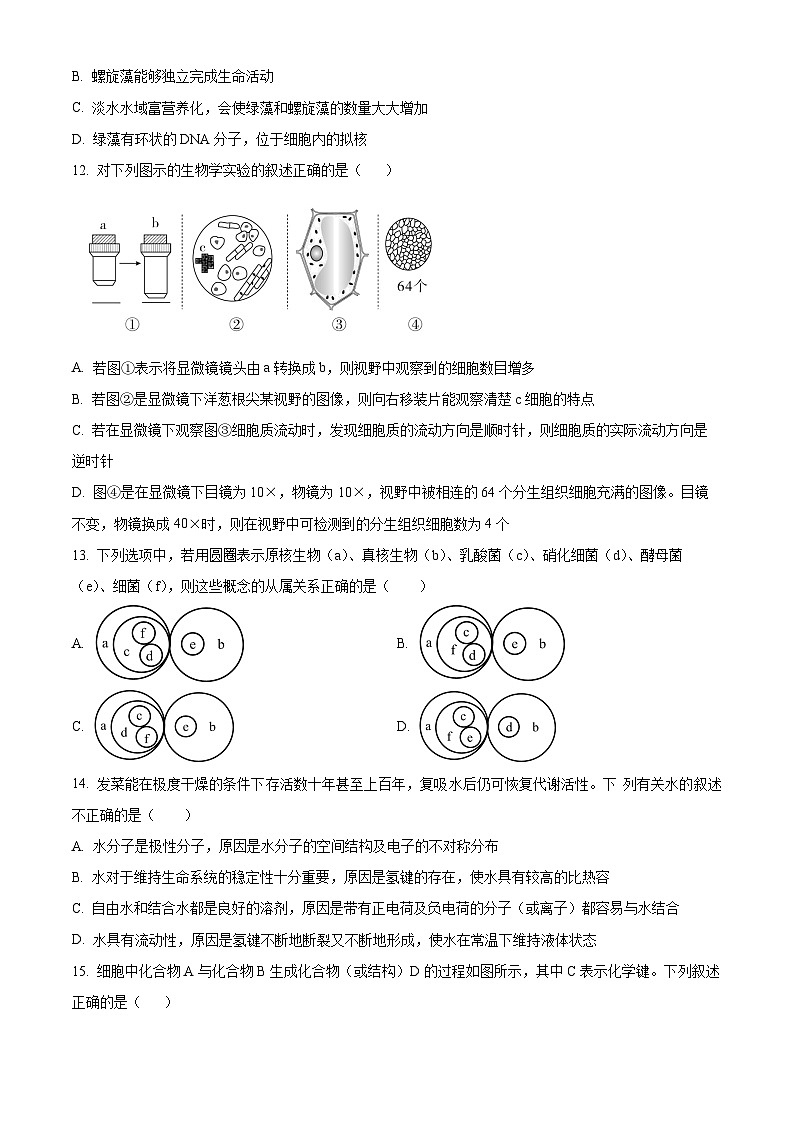 重庆市第十八中学2024-2025学年高一上学期期中考试生物试题 Word版无答案第3页