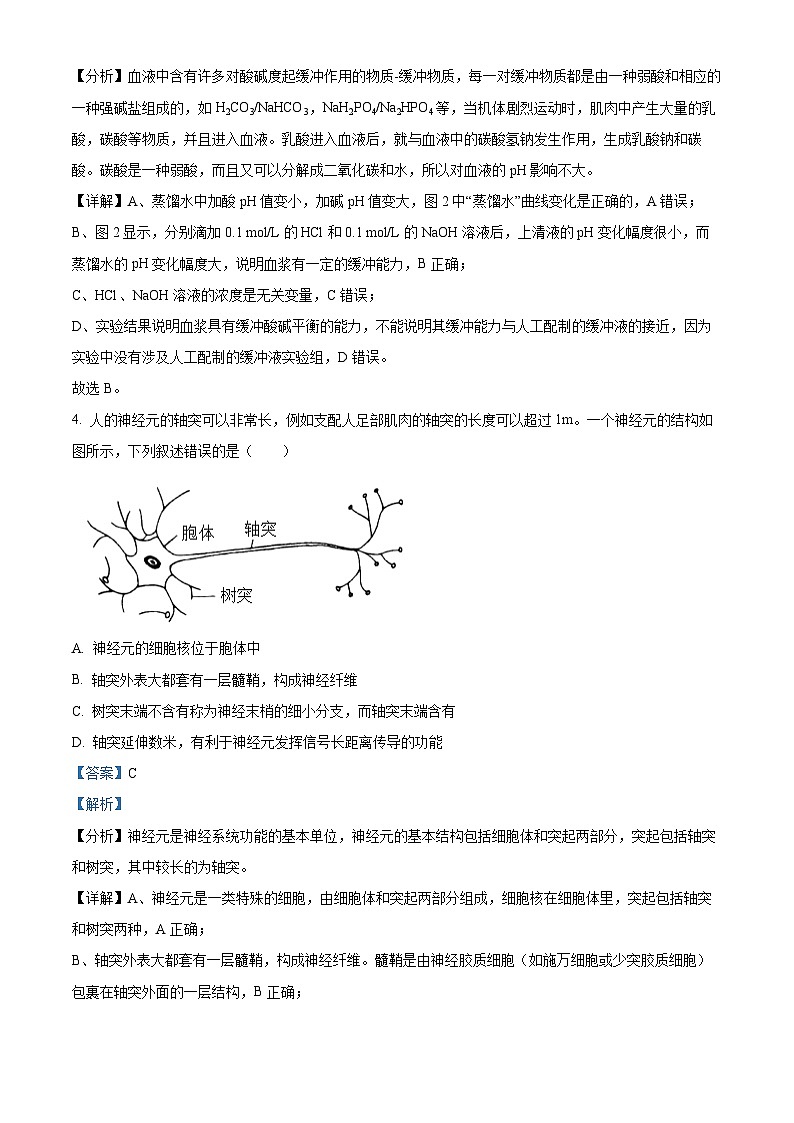 四川省雅安中学2024-2025学年高二上学期11月期中生物试卷 Word版含解析第3页
