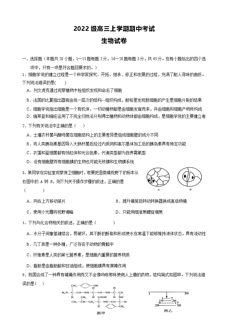 四川省眉山市仁寿第一中学南校区2024-2025学年高三上学期11月期中生物试题（Word版附答案）第1页