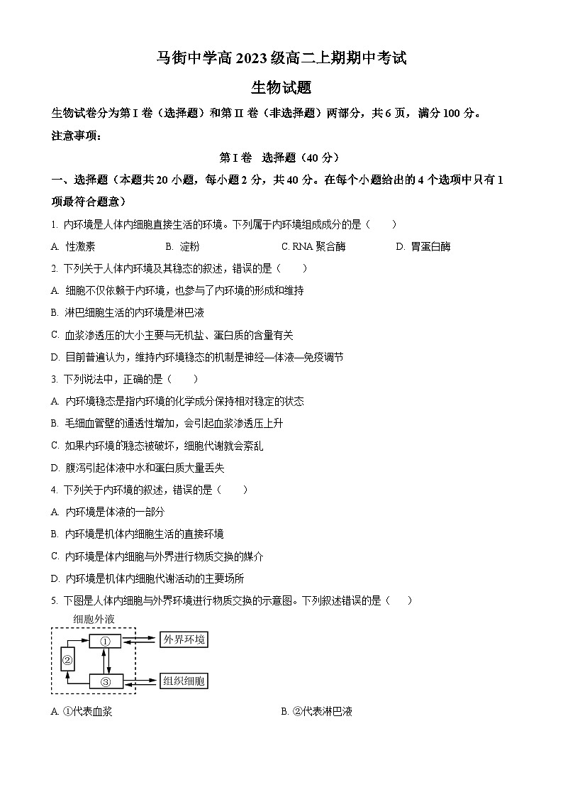 四川省合江县马街中学2024-2025学年高二上学期期中考试生物试题 Word版无答案第1页