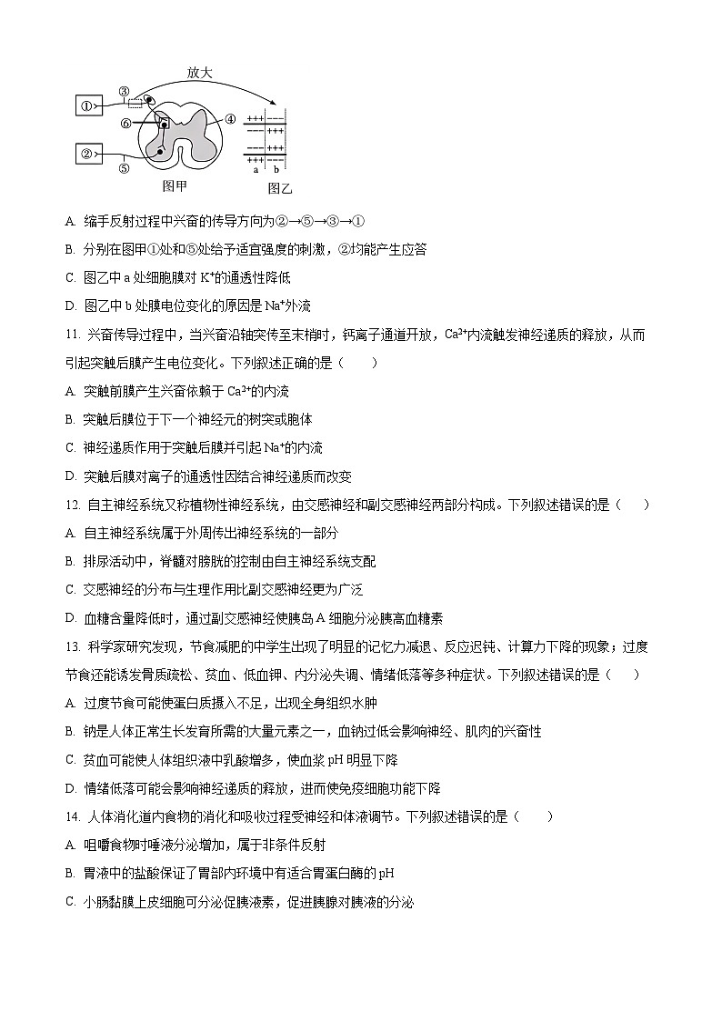 四川省合江县马街中学2024-2025学年高二上学期期中考试生物试题 Word版无答案第3页