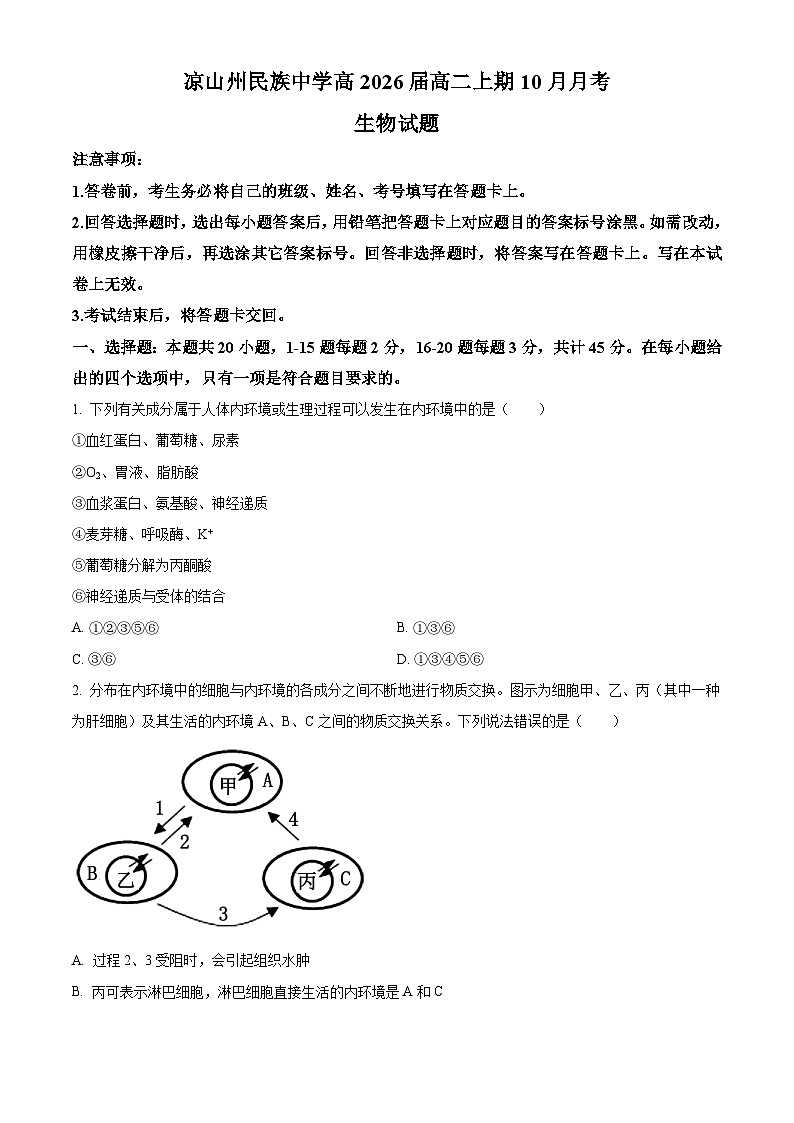 四川省凉山州民族中学2024-2025学年高二上学期10月月考生物试题 Word版无答案第1页