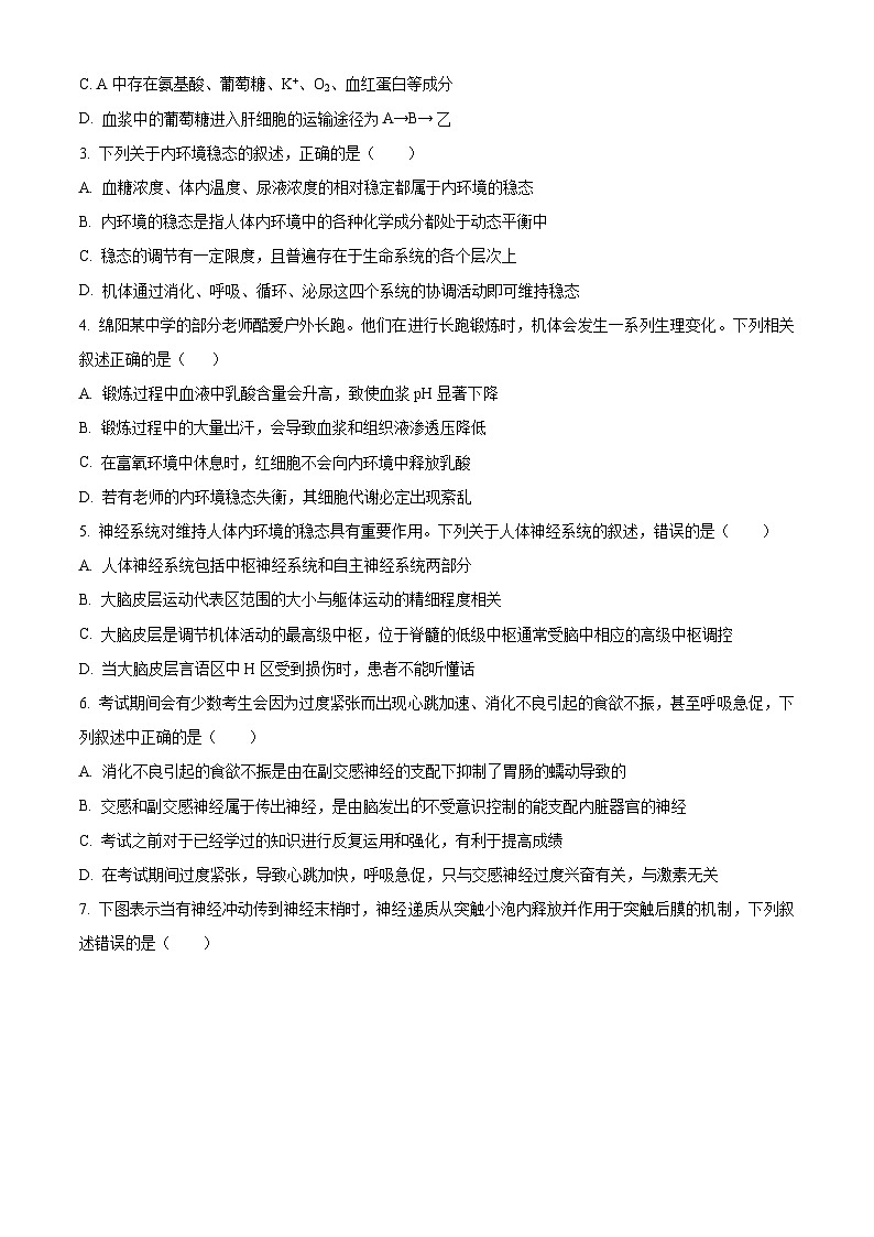 四川省凉山州民族中学2024-2025学年高二上学期10月月考生物试题 Word版无答案第2页