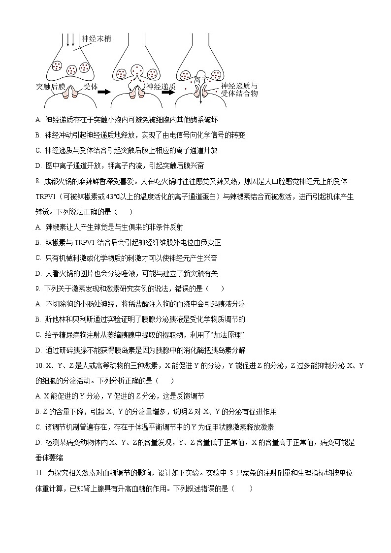 四川省凉山州民族中学2024-2025学年高二上学期10月月考生物试题 Word版无答案第3页