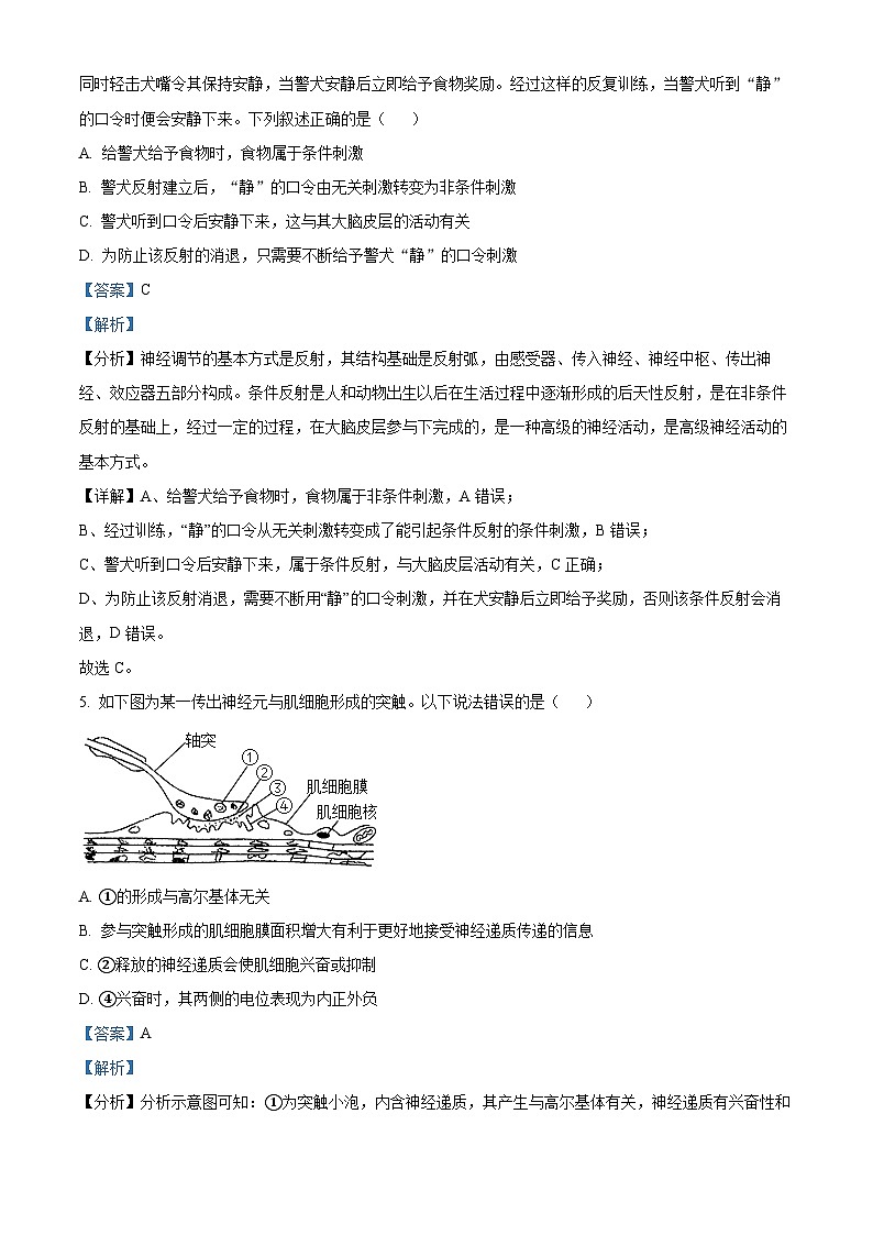 四川省阆中中学校2024-2025学年高二上学期期中检测生物试题 Word版含解析第3页