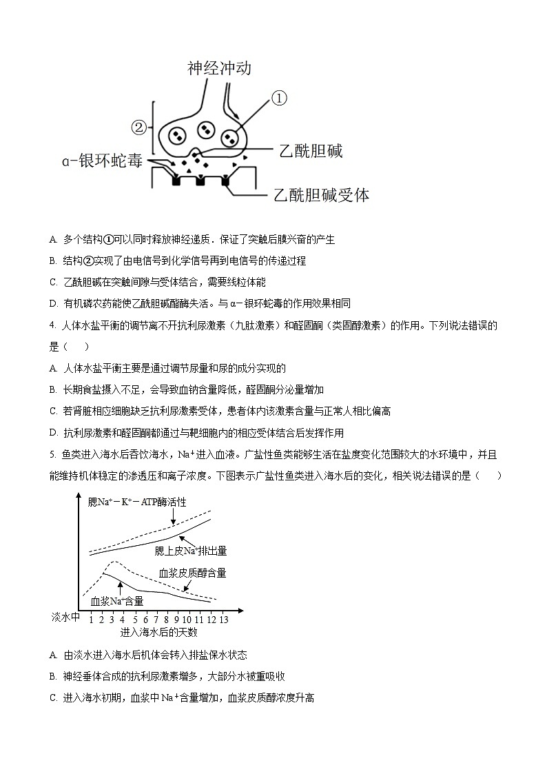 山东省泰安第一中学2023-2024学年高二上学期1月月考生物试题第2页