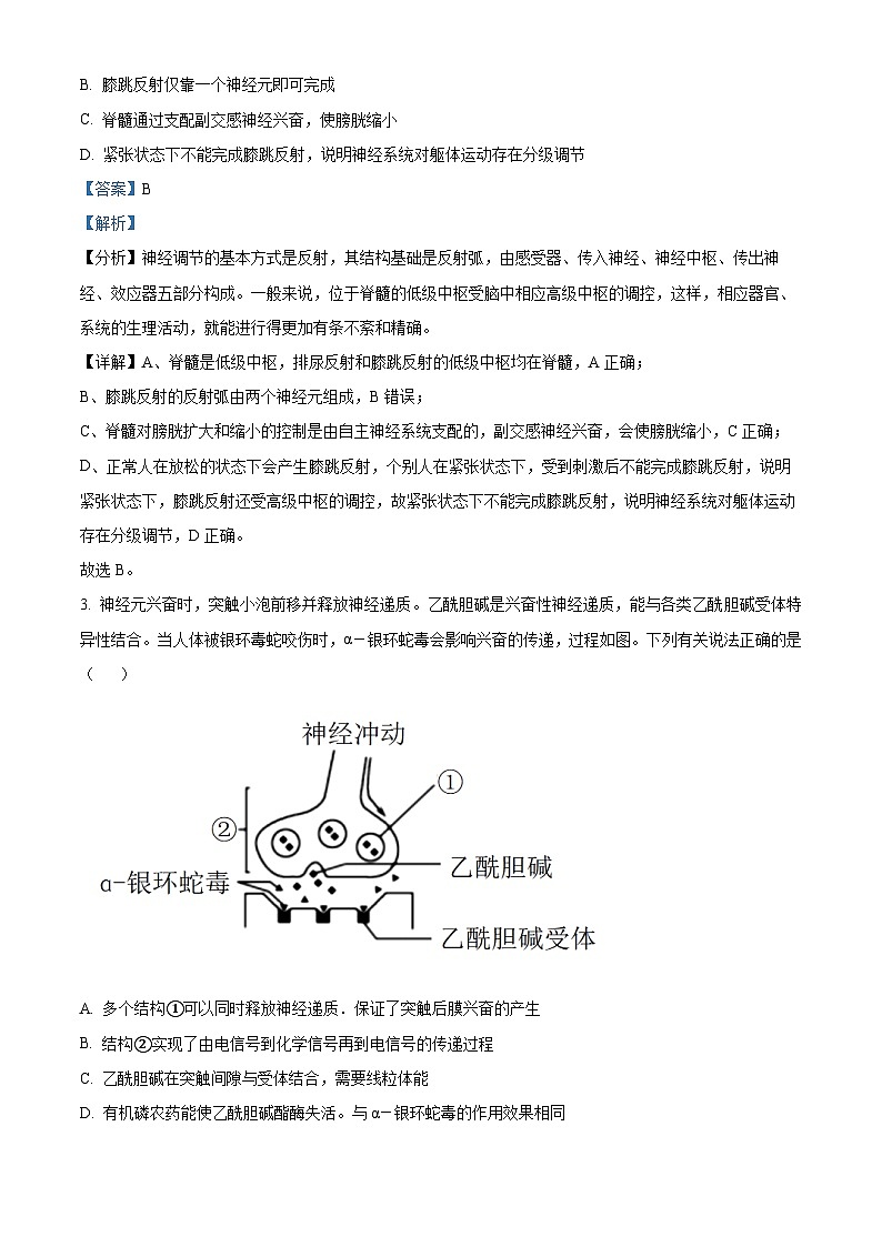 山东省泰安第一中学2023-2024学年高二上学期1月月考生物试题word版含解析第2页