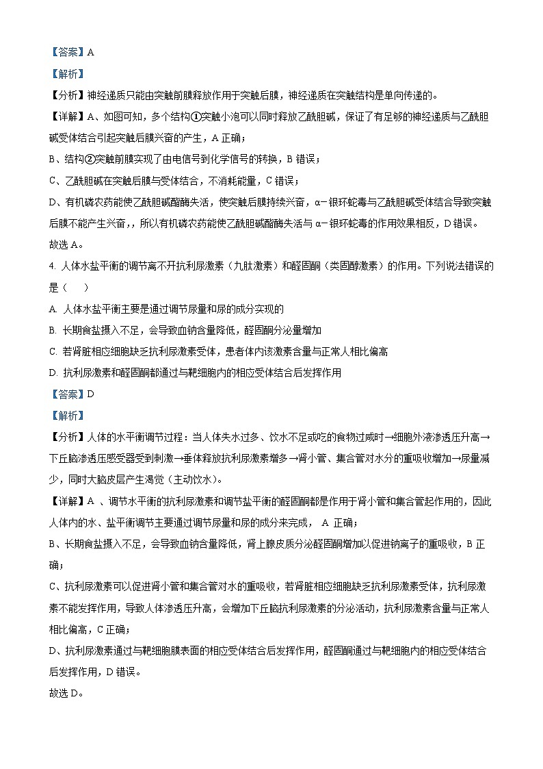 山东省泰安第一中学2023-2024学年高二上学期1月月考生物试题word版含解析第3页