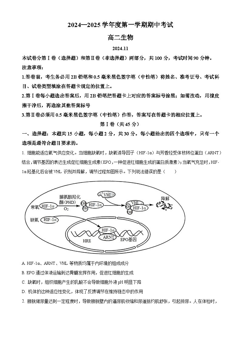 山东省青岛市黄岛区2024-2025学年高二上学期11月期中考试生物试题word版含答案第1页
