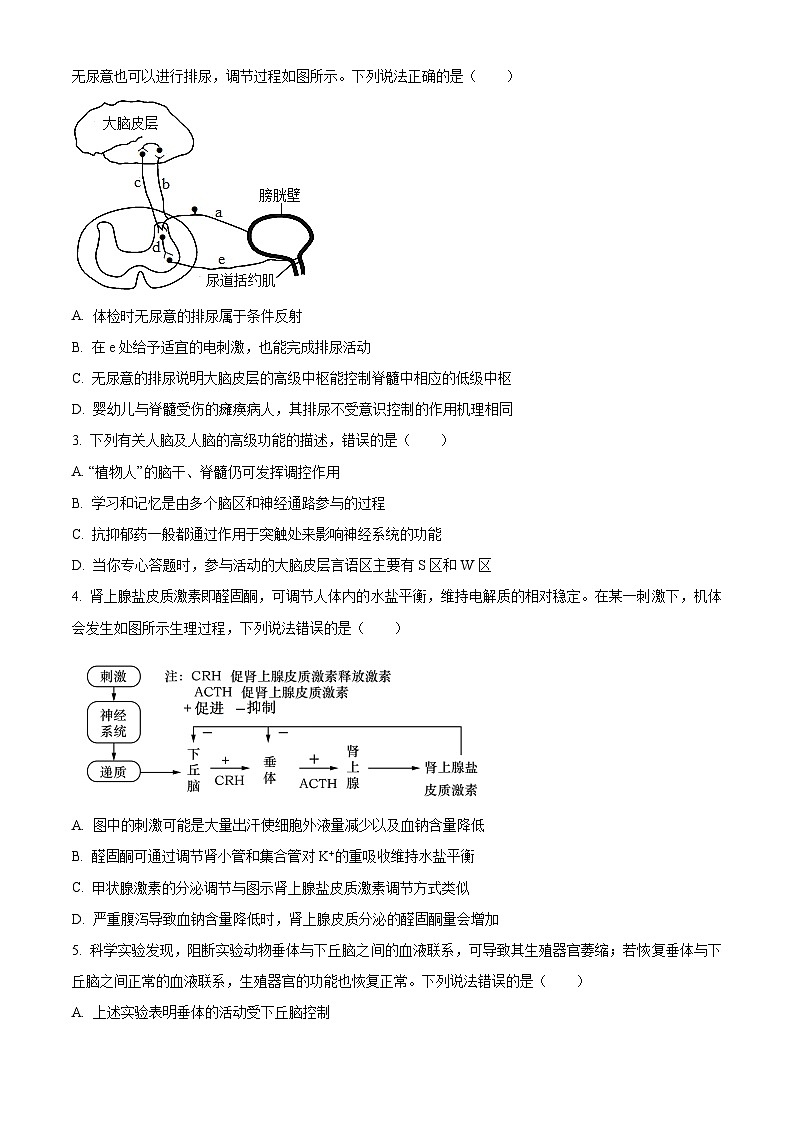 山东省青岛市黄岛区2024-2025学年高二上学期11月期中考试生物试题word版含答案第2页