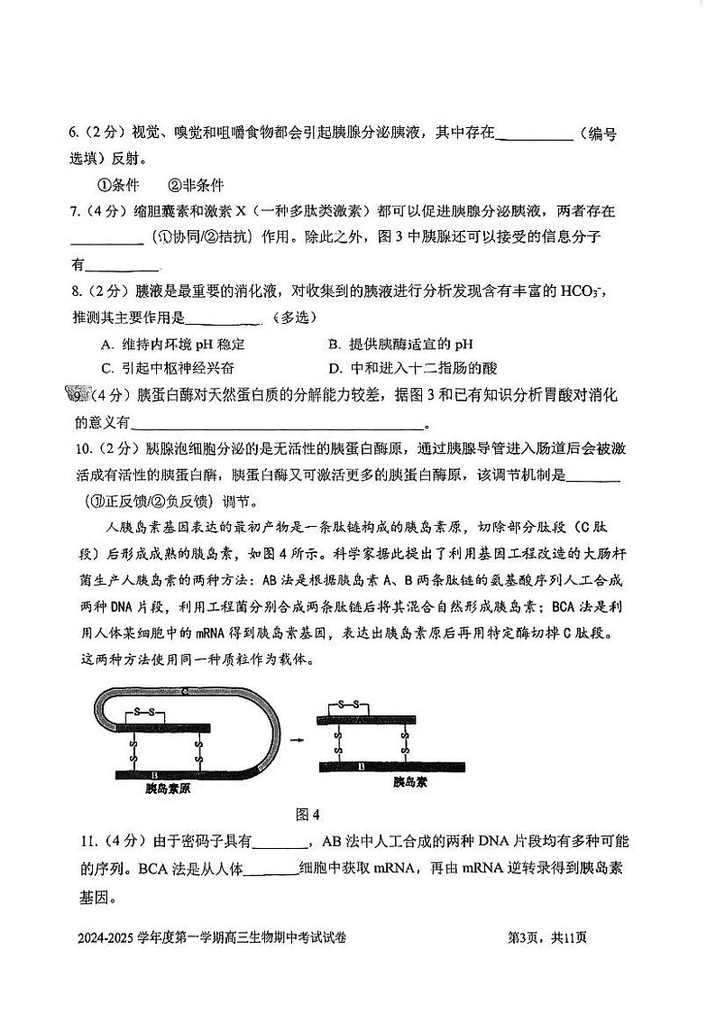 上海市华东师范大学第二附属中学2024-2025学年高三上学期期中考试生物试卷第3页