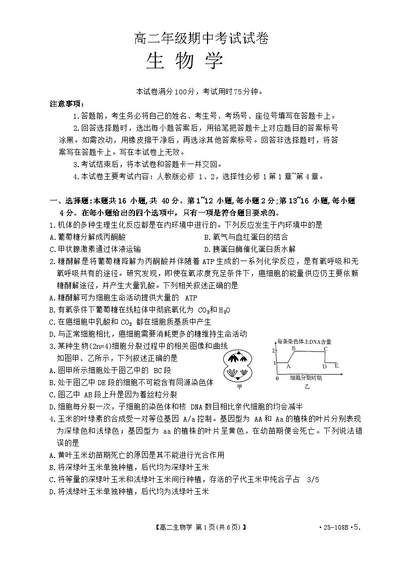 广东省部分重点高中2024-2025学年高二上学期期中考试生物试题-A4第1页