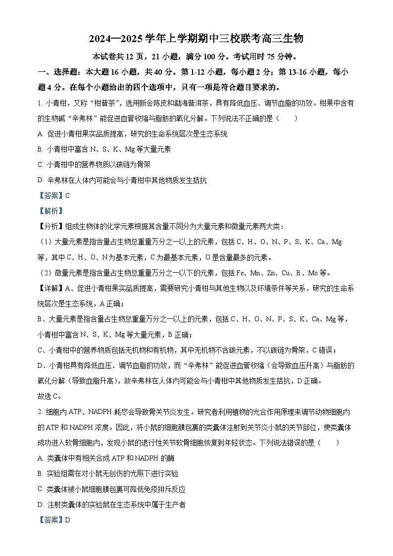 广东省广州外国语、广大附中、铁一中学等三校2024-2025学年高三上学期期中联考生物试题（解析版）-A4第1页