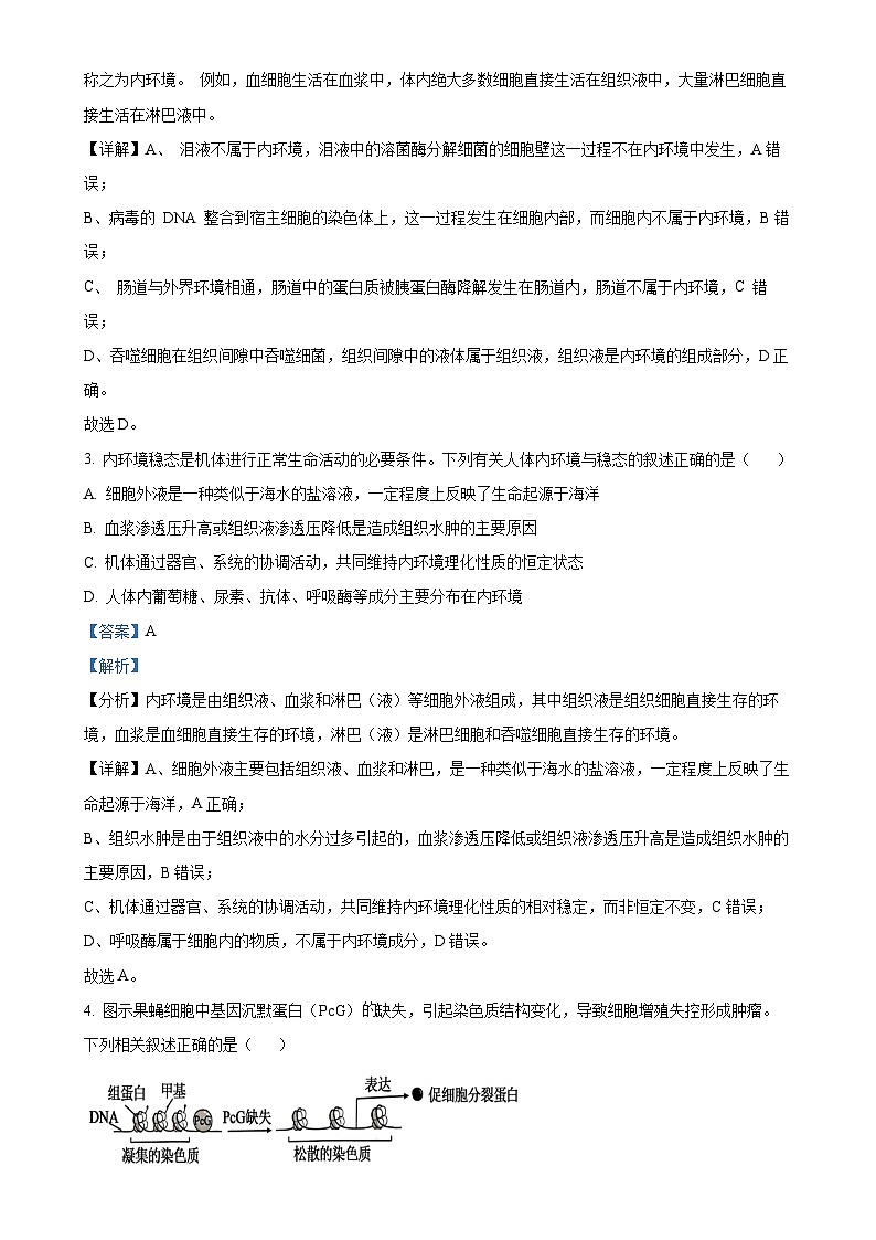 广东省台山市第一中学2024-2025学年高二上学期11月期中考试生物试题（解析版）-A4第2页