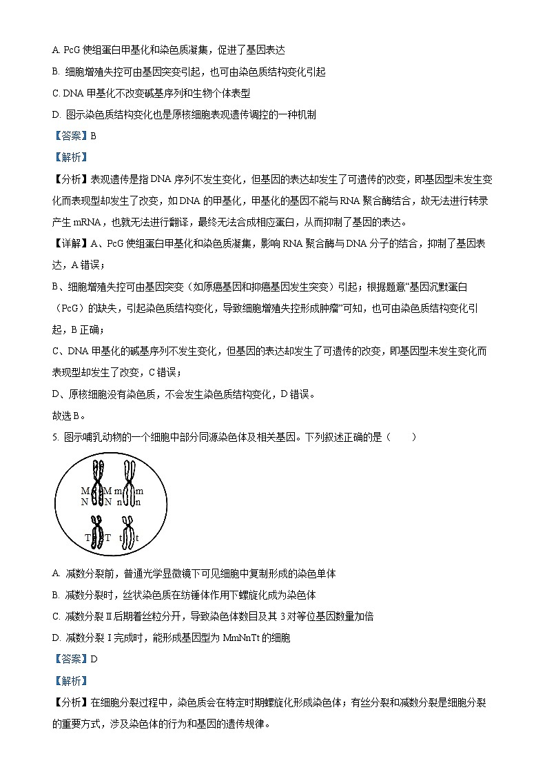 广东省台山市第一中学2024-2025学年高二上学期11月期中考试生物试题（解析版）-A4第3页