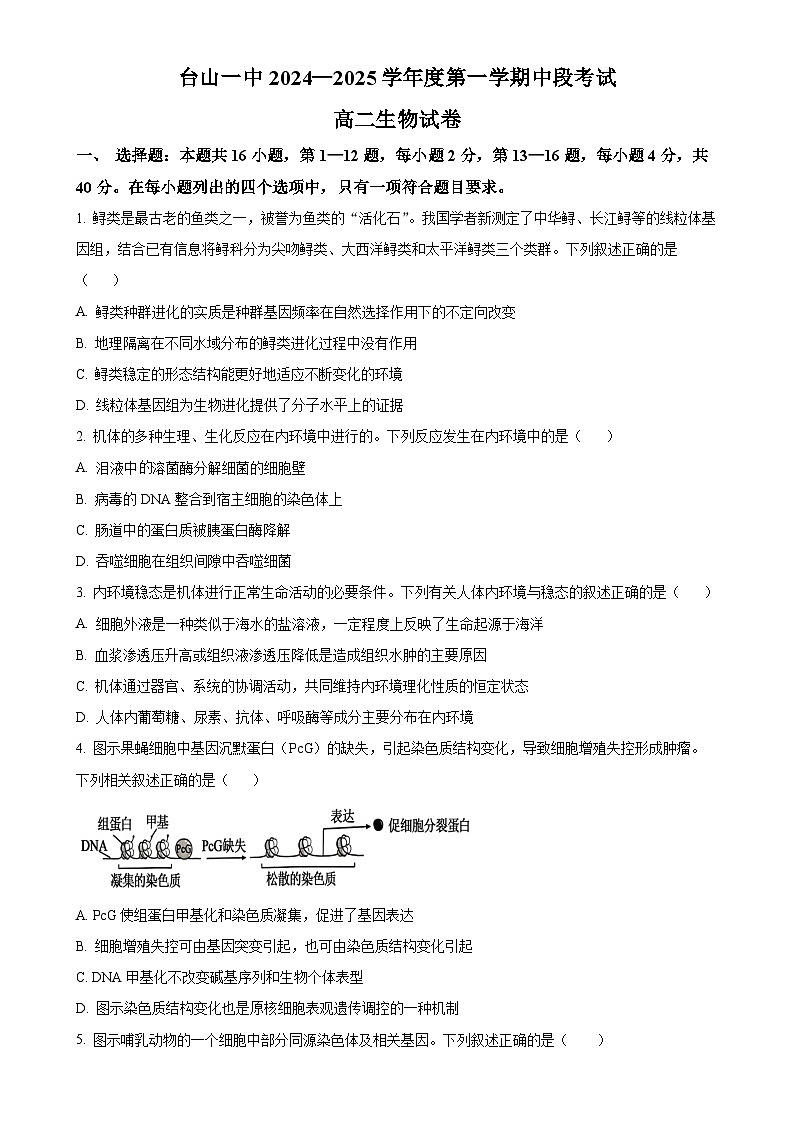 广东省台山市第一中学2024-2025学年高二上学期11月期中考试生物试题（原卷版）-A4第1页