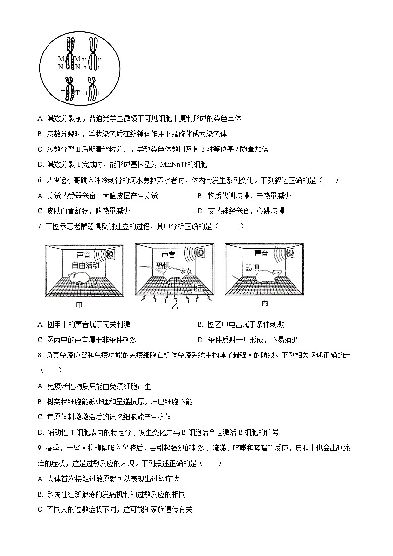 广东省台山市第一中学2024-2025学年高二上学期11月期中考试生物试题（原卷版）-A4第2页