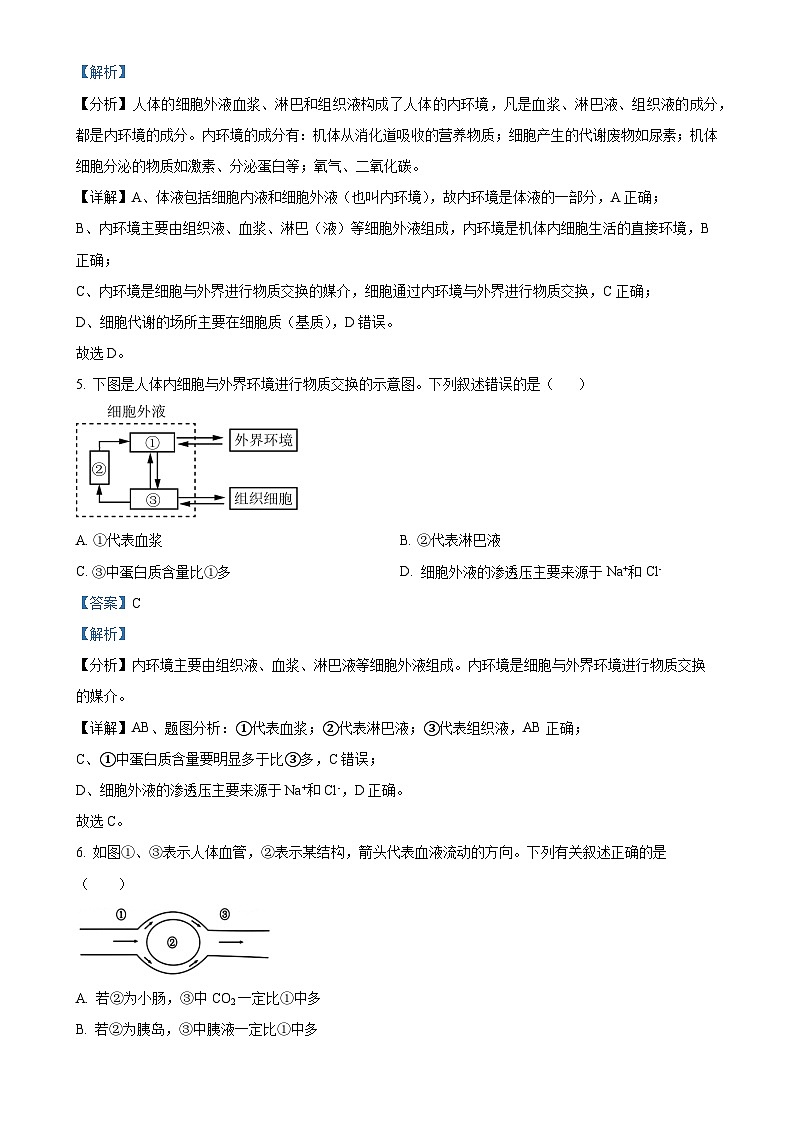 四川省合江县马街中学2024-2025学年高二上学期期中考试生物试题（解析版）-A4第3页